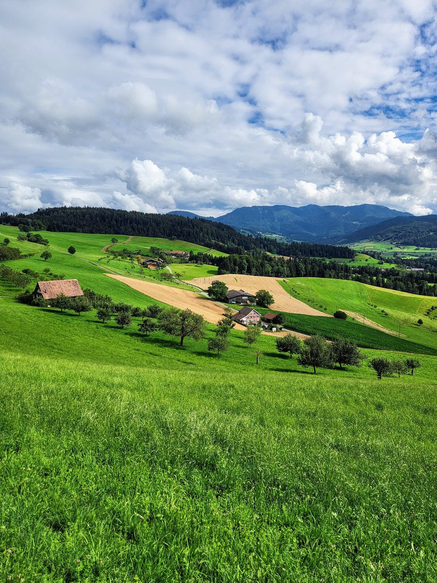 HikingSchweiz's tweet image. A walk among the farms and fields in the hills above Zug, Switzerland 🇨🇭