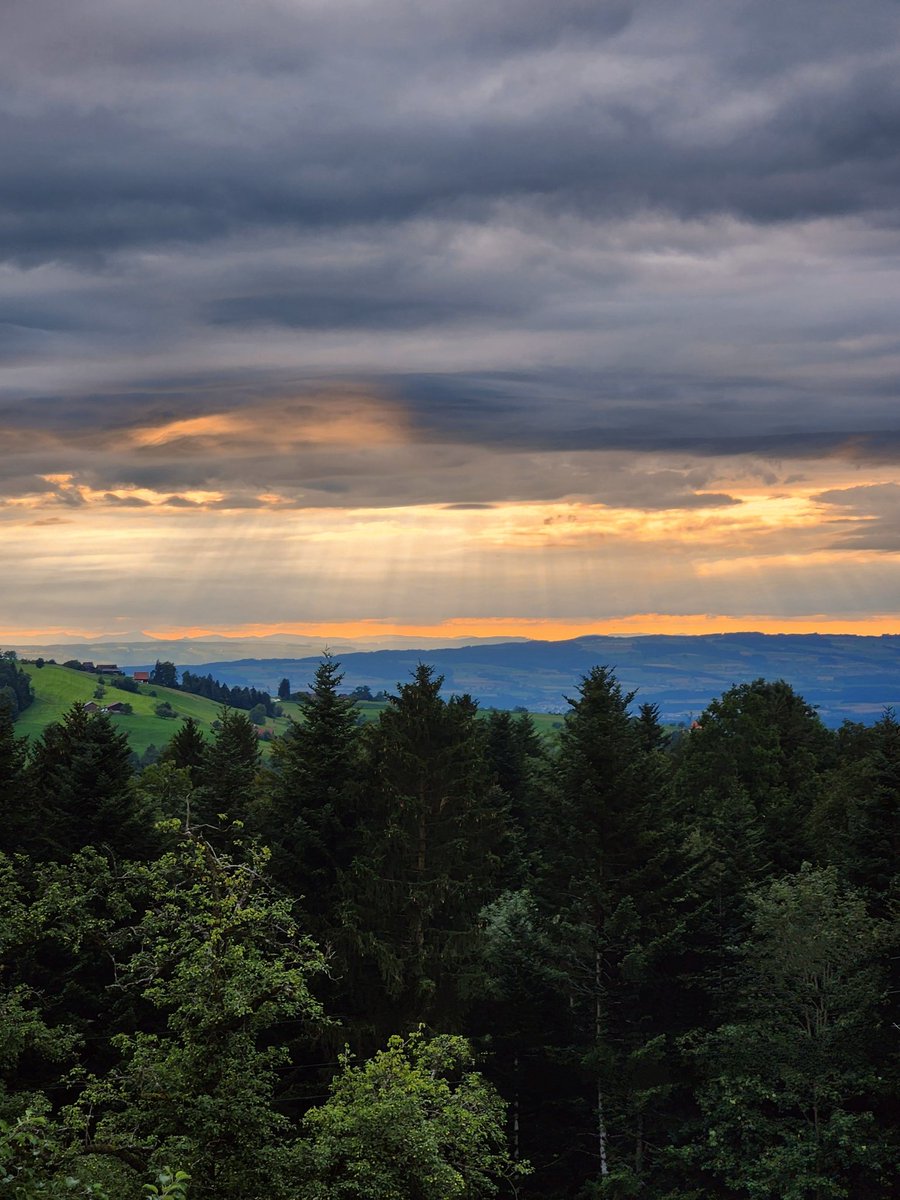 HikingSchweiz's tweet image. A walk among the farms and fields in the hills above Zug, Switzerland 🇨🇭