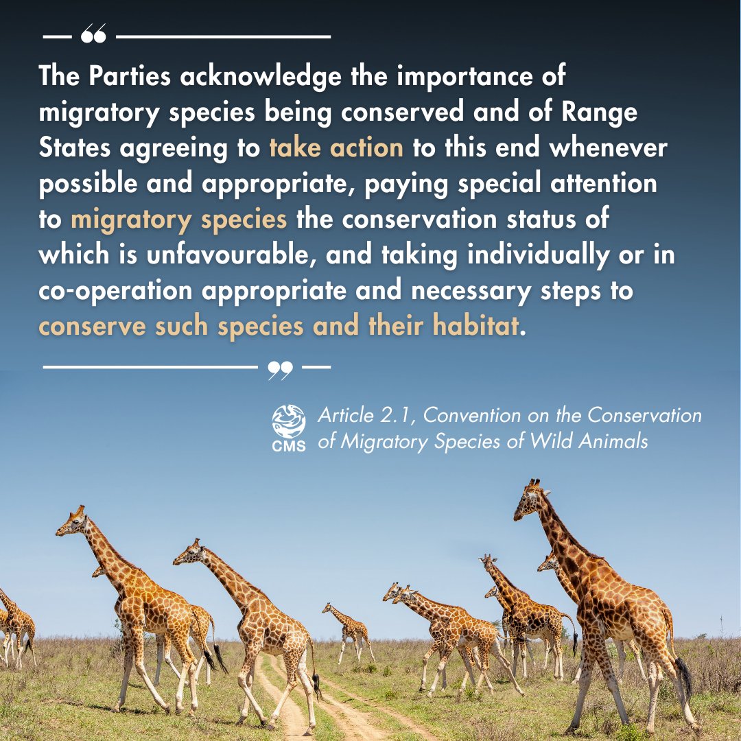132 countries &amp; the EU have signed the Convention on Migratory Species, recognizing the importance of migratory species conservation, encouraging action particularly for species at risk, and supporting both national and international efforts to conserve species and the ecosystems