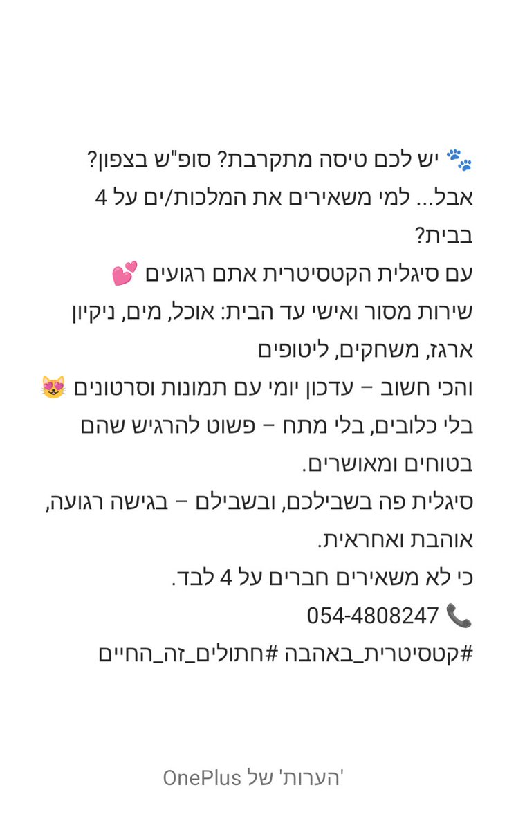 sigalitmt's tweet image. 