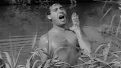 Maurizio Cossu (@superappo) on Twitter photo Americaaaaà facce Tarzan Americaaaaà facce Tarzan