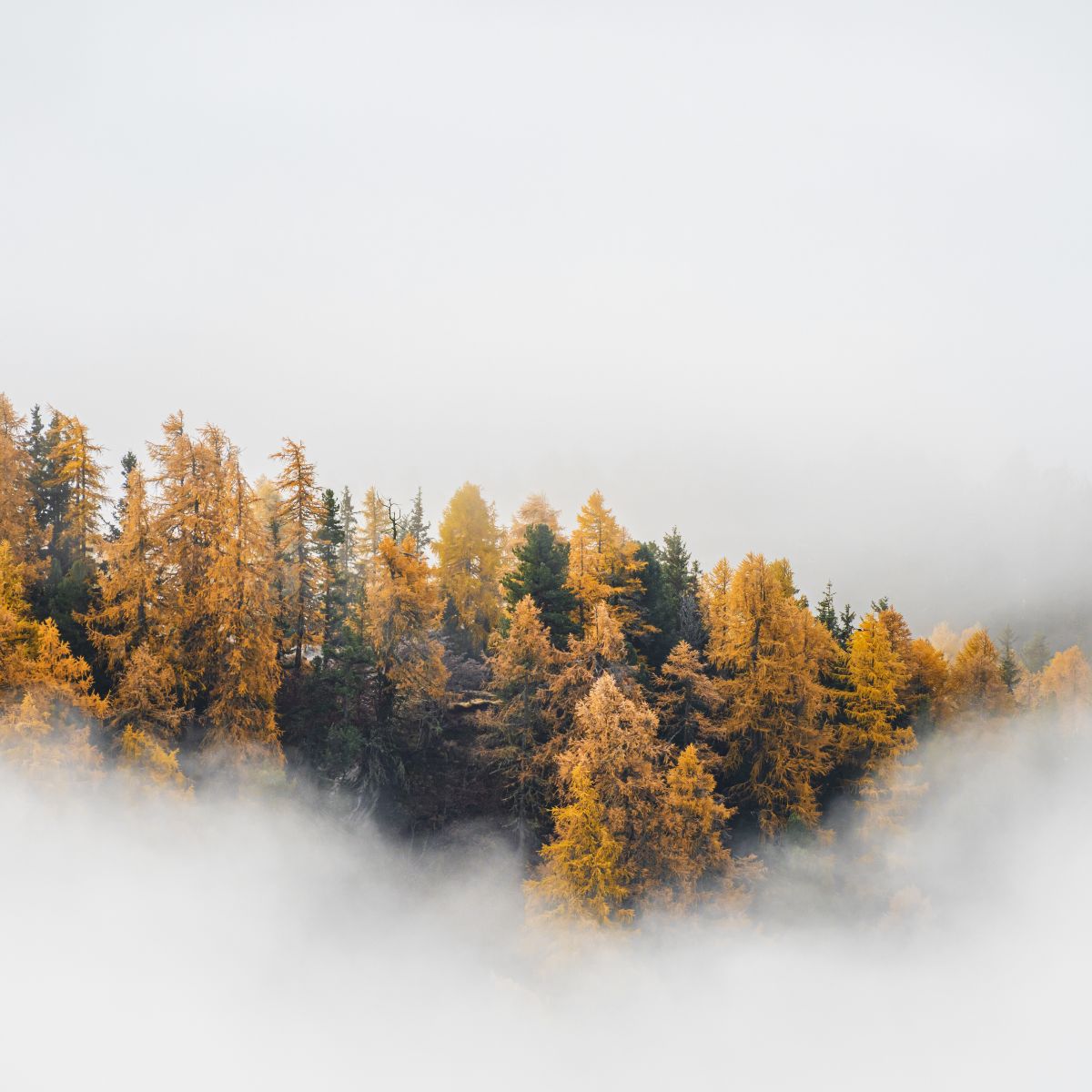 Der Schlüssel zur Bewertung von Outcome Bonds? Ein systematischer Ansatz. #ABInsights 

allncbrnstn.co/4kuNvc5