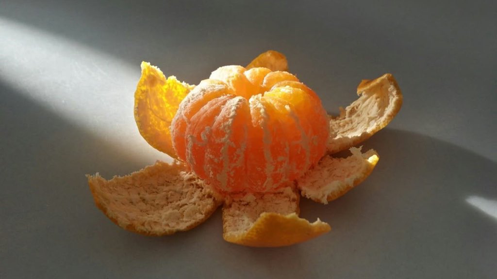 prtygal777's tweet image. There’s something so beautiful about this
I can’t describe it