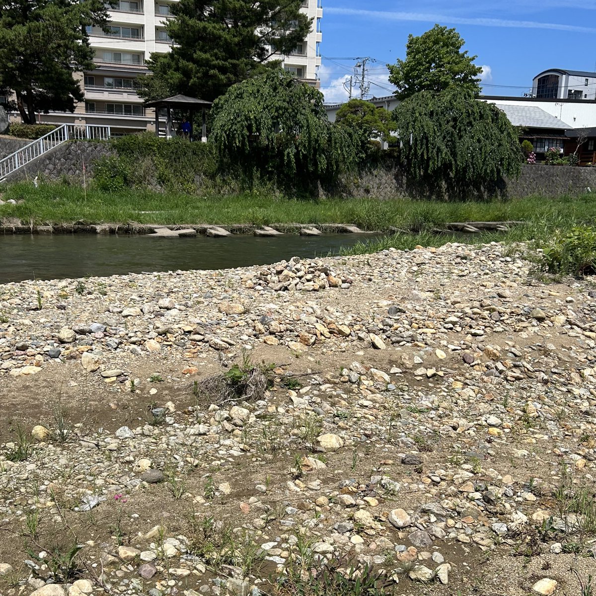中津川、上の橋近くにあるこのちょっと盛り上がった山にご注意くださいね。
蜂の巣のアパートです。気づかず座って4箇所刺されちゃった🌀
へなへな〜〜