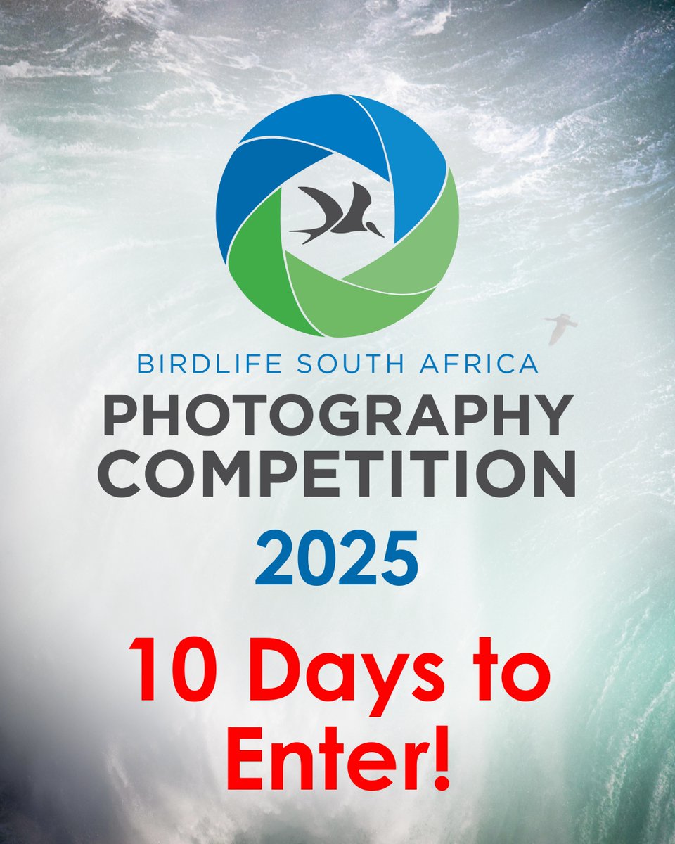 BirdLife_SA's tweet image. 📷ONLY TEN DAYS REMAINING!
Don’t miss your chance to enter SA’s biggest and best photography competition! - Entries close midday, 18 July.
Sign up here: birdlife.org.za/photocomp2025/
Photography is one of the most powerful tools we have to empower conservation - and we want your help!