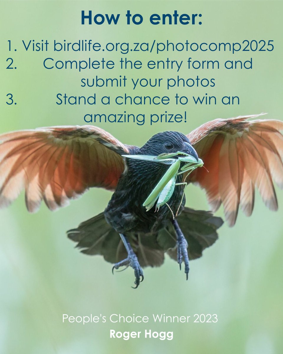 BirdLife_SA's tweet image. 📷ONLY TEN DAYS REMAINING!
Don’t miss your chance to enter SA’s biggest and best photography competition! - Entries close midday, 18 July.
Sign up here: birdlife.org.za/photocomp2025/
Photography is one of the most powerful tools we have to empower conservation - and we want your help!