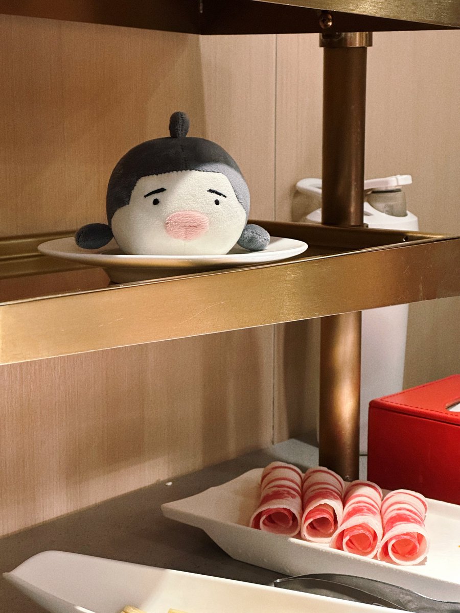 🩶: …난 샤브샤브 재료가 아니야뿅💦

(남자 점원이 뿅어의 두툼한 입술이 정말 귀엽다고 하면서 무슨 종류의 물고기냐고 물었어요. 여자 점원은 제가 몇 마리의 물고기를 키우고 있는지 물어본 뒤, 다음에는 네 마리의 뿅어를 다 데리고 와서 같이 밥 먹자고 제안했어요, ㅋㅋㅋ…)