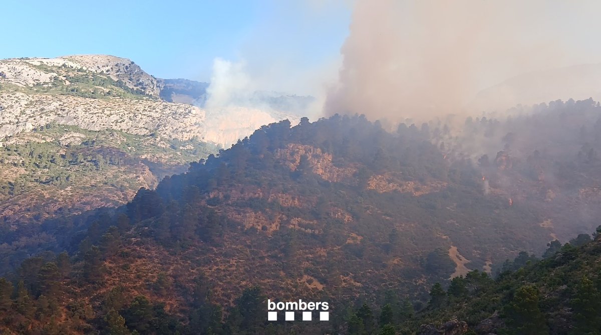 La Xarxa tweet media