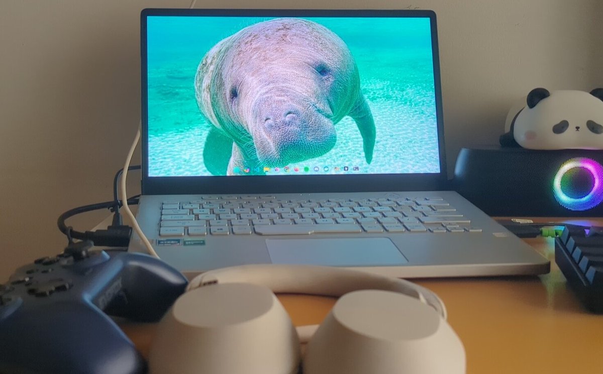 redrodeo03's tweet image. He&apos;s been staring at me all day