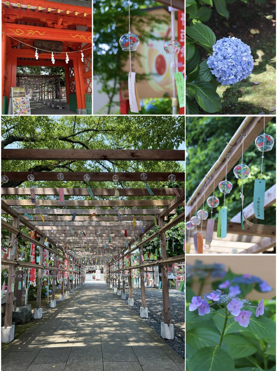 AK52008210's tweet image. こんばんは✨
昨日 お昼休み
下野大師 華蔵寺にて
風鈴まつり🎐
7月31日まで
今日も一日お疲れ様でした
.☪*゚
#TLを花でいっぱいにしよう
