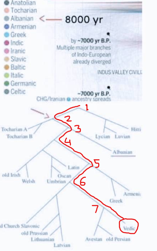 anadish's tweet image. It is the 7th and the last offshoot of the European language family. Rather being the mother, it is another legacy pidgin (max 2200 years old) like Urdu or Hindi. Recent studies rank it at the 7th position. balkanacademia.com/2025/04/07/pau…