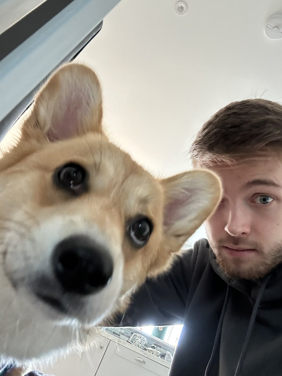 ZachKappa's tweet image. matchday vs @UCAM_esports 

9pm CET

early morning, late game

see you there