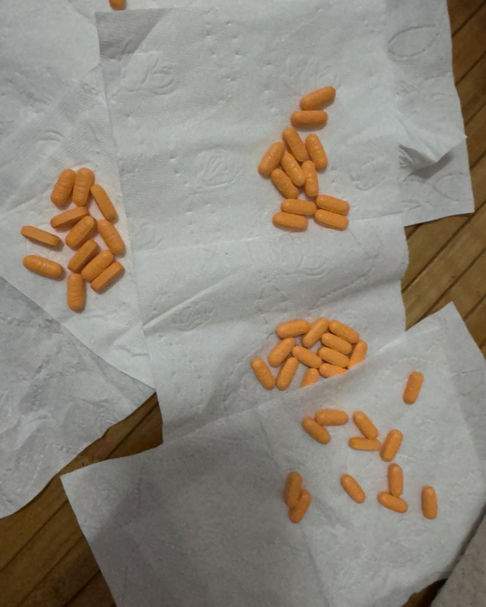 grace.time☃︎ tweet media