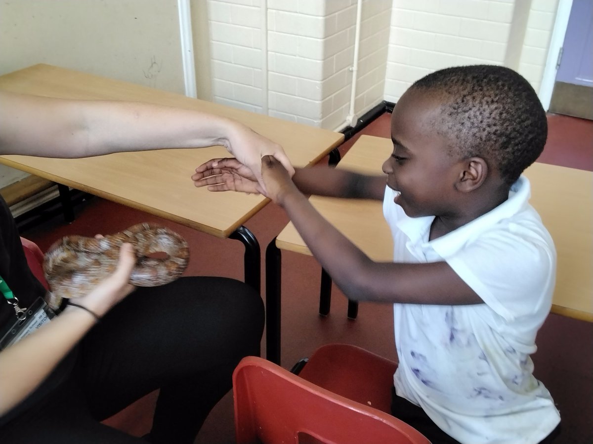 LeighPrimary's tweet photo. The children in the Nest had the most amazing experience!
The animal lady came in to show us some animals. We had a close look and stroked the snake, guinea pig, lizard, cockroach and a little bear.
We love Animals!
#animals #animallady #UW #nest #bestexperienceever https://t.co/P6rwgJyMHJ