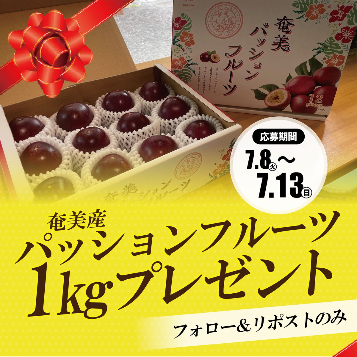 icchiba_shima's tweet photo. プレゼント企画またまたやります～！
今回はなんと！奄美産「パッションフルーツ」１キロプレゼント✨
🎉🎉応募方法🎉🎉
①@icchiba_shimaをフォロー
②この投稿をリポスト
【締切】7/13(日)23:59迄
抽選で1名様にプレゼント🎁
＼パッション好き、集合～！／
https://t.co/QCEkfRbzXd https://t.co/XkIePP2fq2