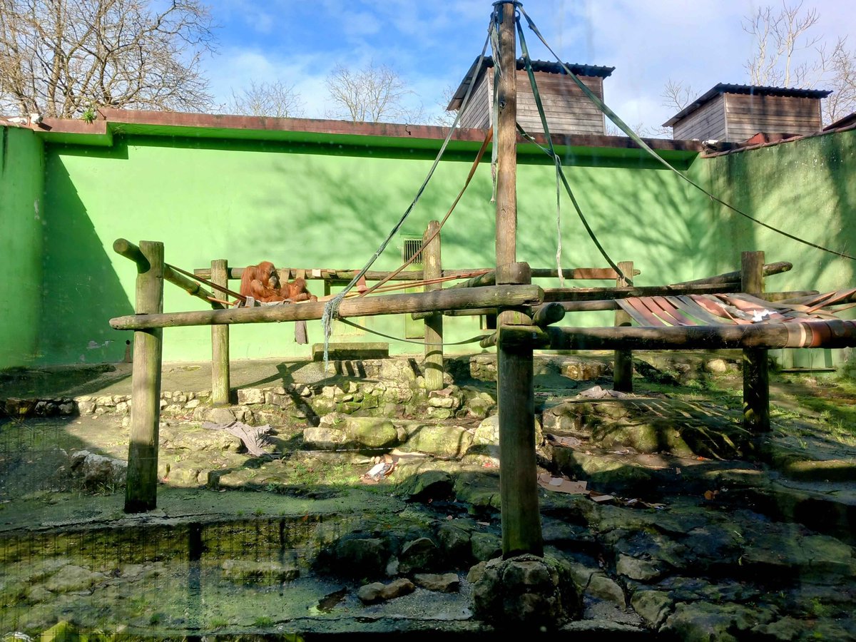 Nuevo zoo en Catarraca (Málaga)
Reconversión ya.
 pedropozasterrados.es/publicaciones/…