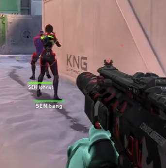 Sentinels tweet media
