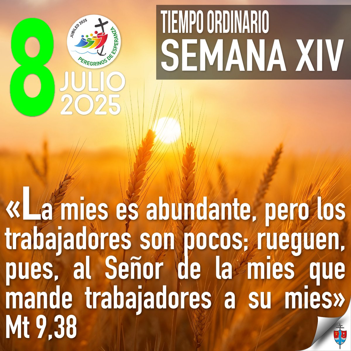 🟢 Un pedacito de Evangelio•Semana XIV del Tiempo Ordinario

#Evangeliodeldía #TiempoOrdinario #TuPalabraDaVida