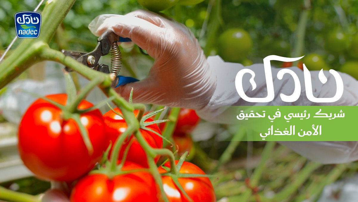 في #نادك، نعمل على تعزيز الإنتاج المحلي من خلال تطبيق أفضل الممارسات الزراعية المستدامة، لضمان توفير غذاء آمن ومتوازن يحقق الاكتفاء الذاتي ويواكب تطلعات الأجيال القادمة نحو مستقبل غذائي مستدام.