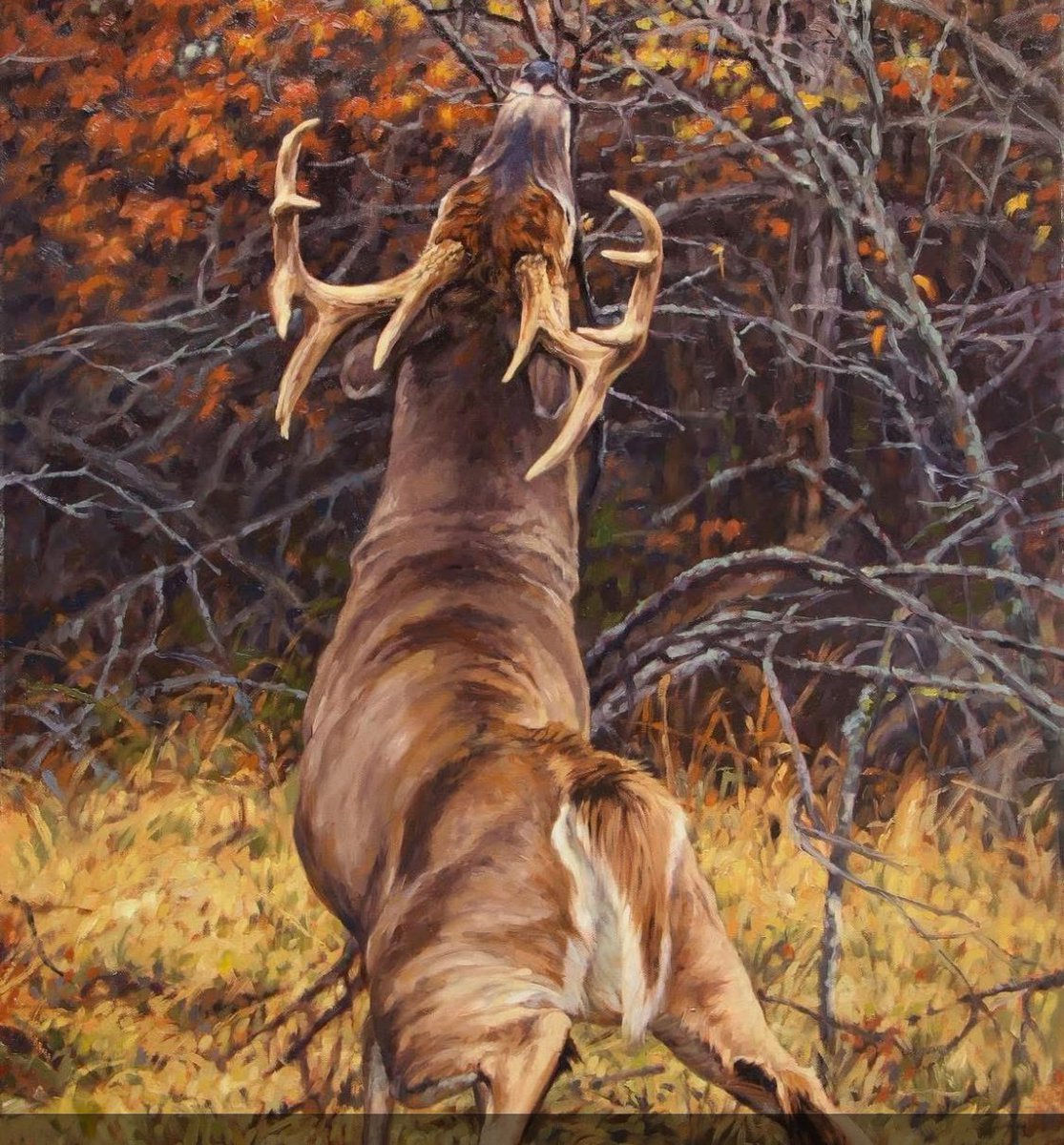 ClubRedneck's tweet image. Sweet November