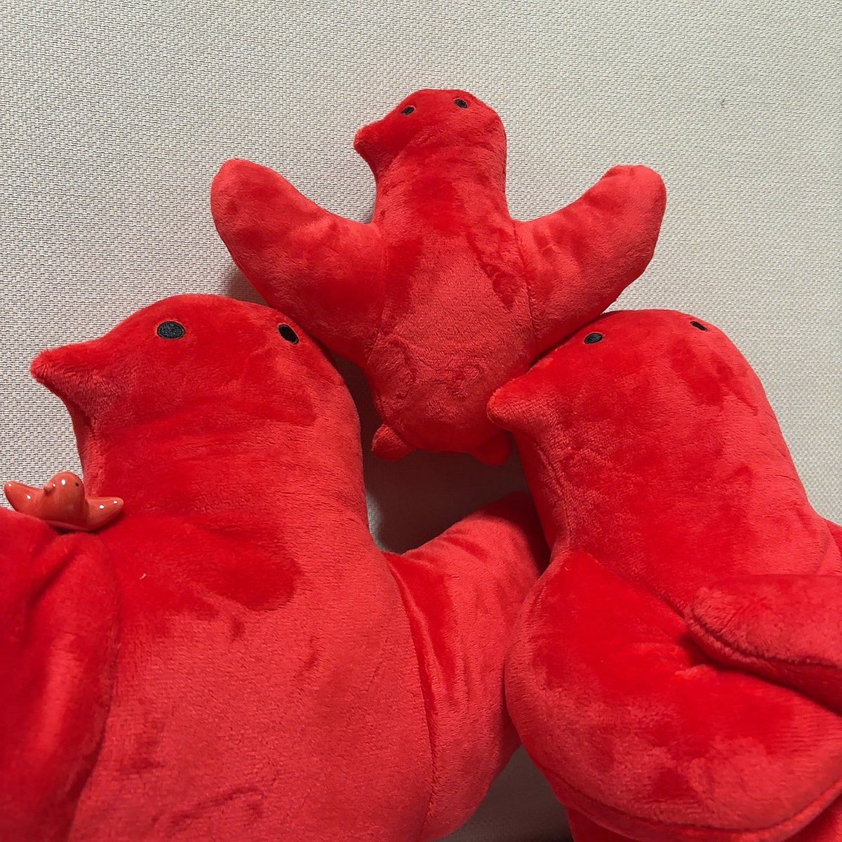 サイズ違いの使い魔たち #ダンジョン飯