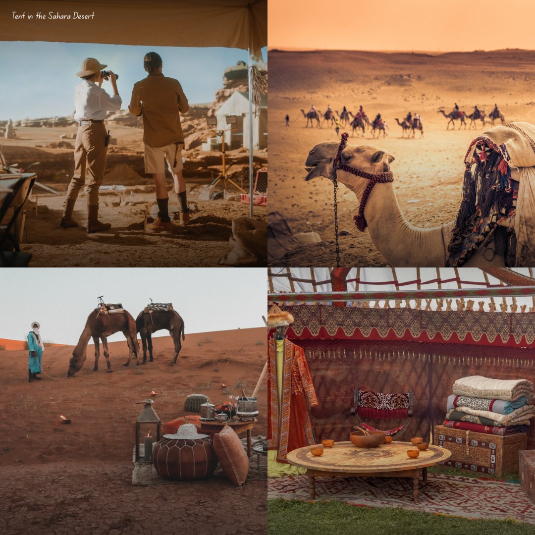 Magic_Morocco_'s tweet photo. Tent Stay Will Change How You Travel
This isn’t just a tent — it a fully styled desert suite with plush bedding, soft lantern light, and traditional Moroccan design.
Step inside and you’ll find cozy comfort surrounded by endless dunes, total silence, and skies full of stars. https://t.co/VqZBSXsnth