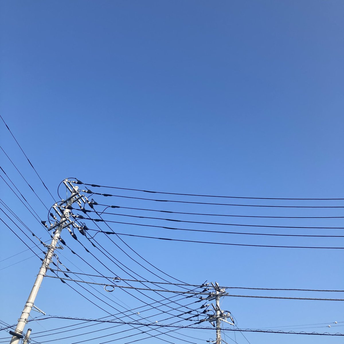 本日は、カウンセリング的なものを受けてきました。

まぁ、あくまで、的なものですので、核心には、ほどほどに触れない範囲で、またやり過ごして生きるための、次なるやり過ごし方のヒントを頂戴して参りました。