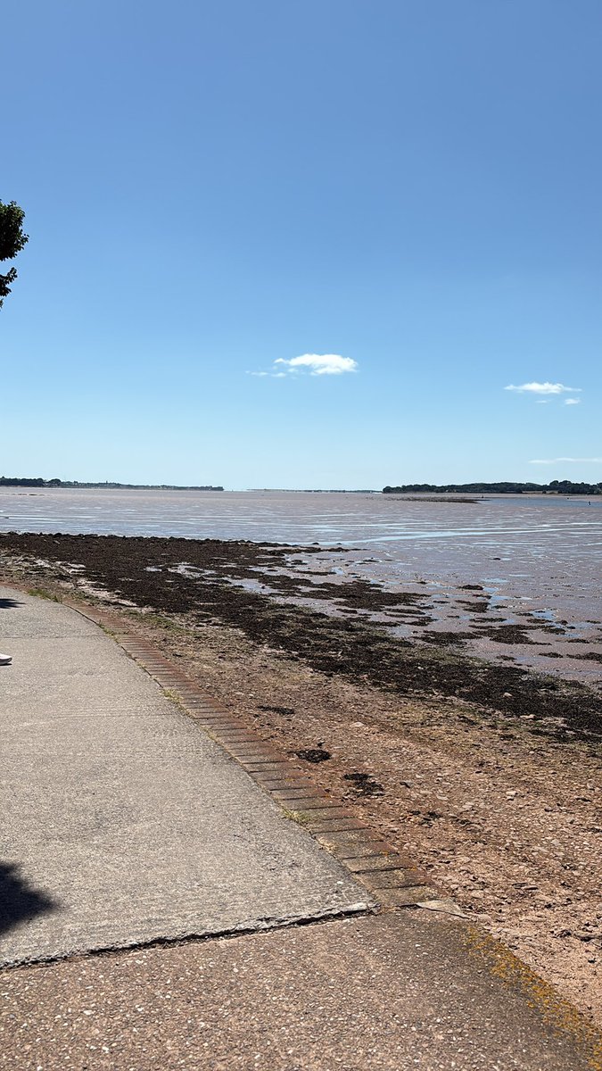 Beautiful Exe Estuary.