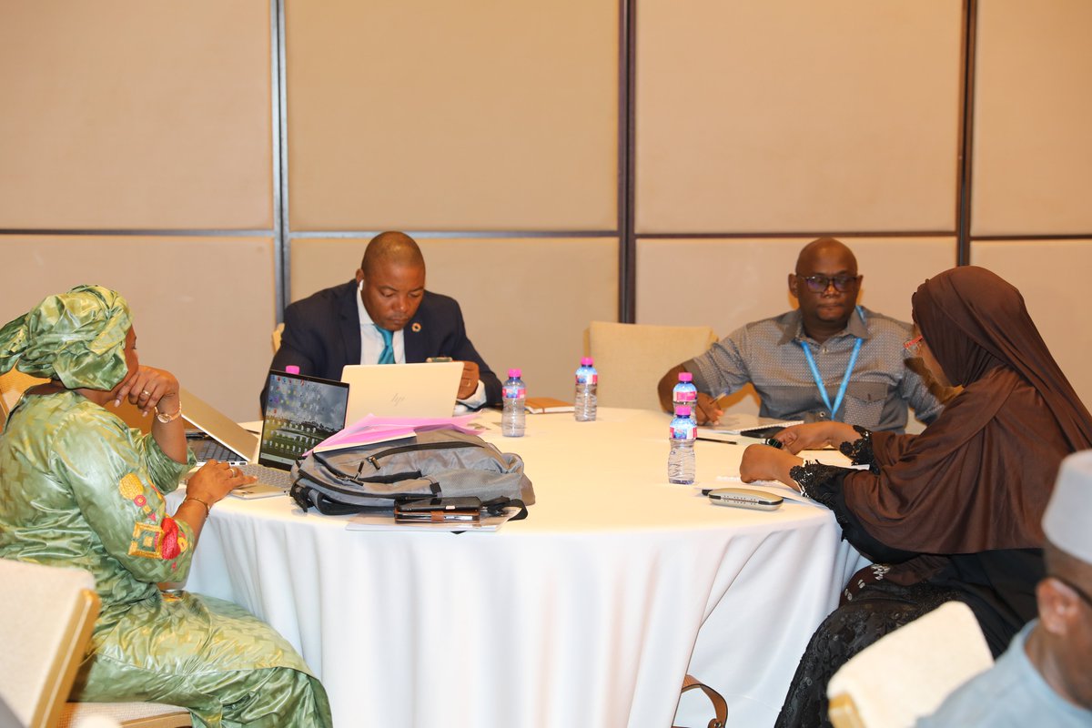 PnudNiger's tweet image. Le #Niger🇳🇪 sera bientôt doté d'une stratégie nationale climat-paix-sécurité, objet d'un atelier de validation du rapport organisé à #Niamey du 8 au 9 juillet 2025 avec l'appui de l'Autorité du Liptako Gourma @LiptakoG et du PNUD  @UNDPAfrica