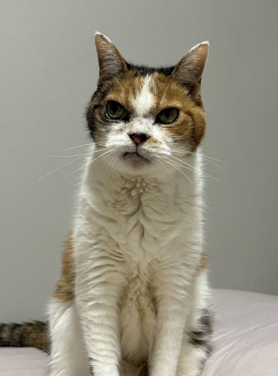 mayu_chami's tweet image. わたしの話を聞いてる時の顔