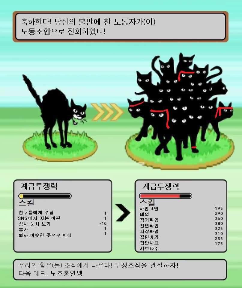 leftwingmb's tweet image. 오늘의 토막상식: 사보태비는 집고양이와 다르게 무리지어 살아야 합니다