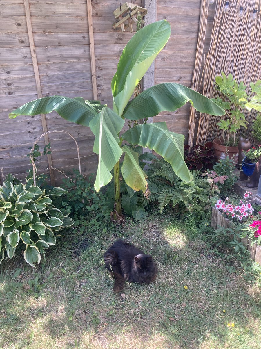 Kate Bod tweet media