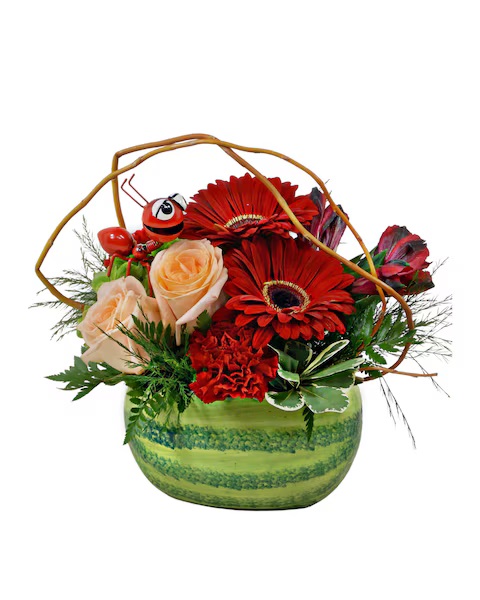 This playful arrangement "Life's A Picnic" features bright #gerberadaisies, #roses, and #carnations — all nestled in a watermelon-shaped container. It’s the ultimate statement piece for your next picnic! 🍉🐜🌺

#SummerFun #FloralDesign #StevesFlowers #Indy #Greenwood #Pendleton