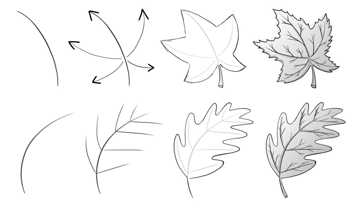 Practise drawing leaves 
