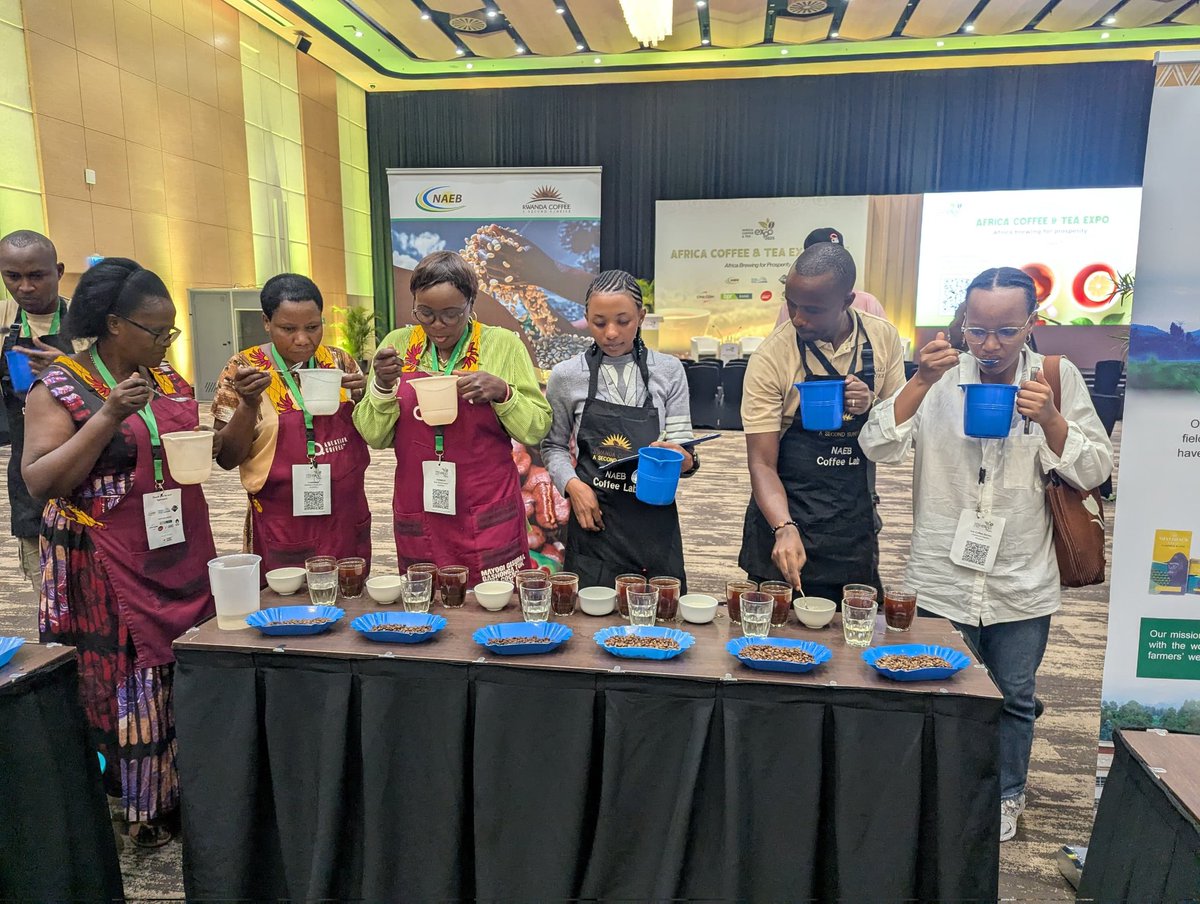 RwandAgriExport's tweet image. ☕ Taste meets trade at the Africa Coffee& Tea Expo 2025
Coffee and Tea cupping is underway; a critical step where quality speaks louder.
It’s here that buyers discover the value in every bean and leaf, setting the stage for strong deals.
#ACTEXPO2025