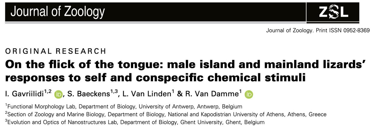 Another PhD chapter published by Ioanna Gavriilidi (<a href="/UAFunMorph/">UAntwerp Funmorph</a> ), now out in Journal of Zoology (<a href="/OfficialZSL/">ZSL</a>)
She finds that island-dwelling lizards tend to rely less on chemosensory cues compared to their mainland counterparts.

…lpublications.onlinelibrary.wiley.com/doi/10.1111/jz…