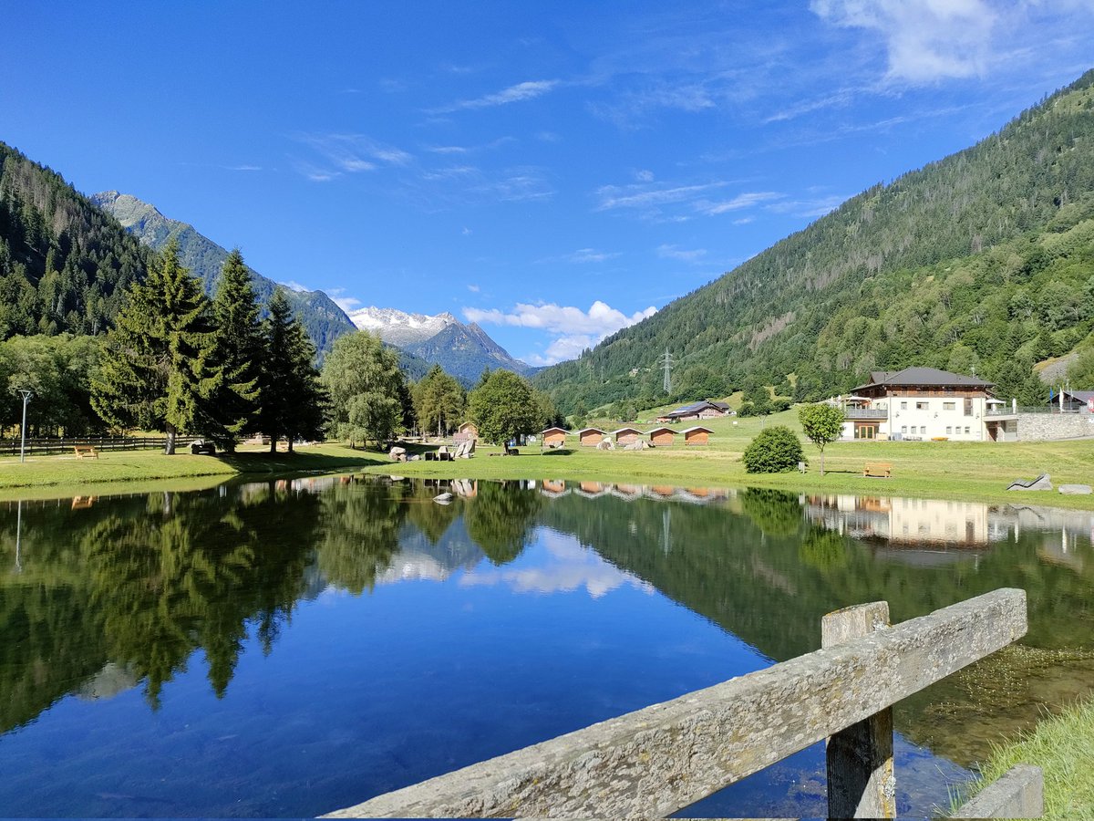 Iva Callegari tweet media