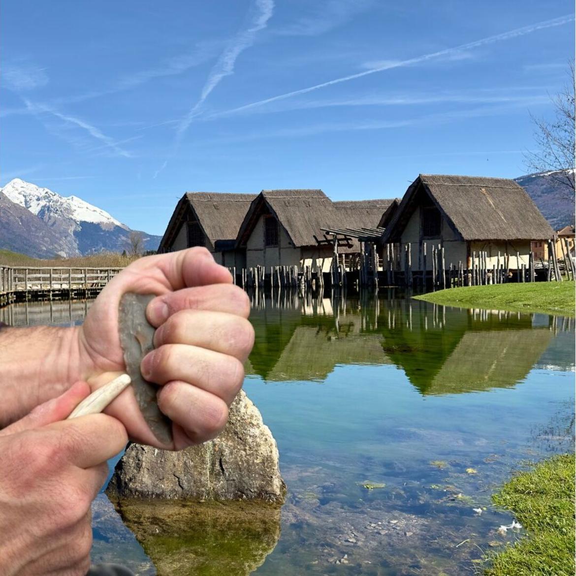 Provincia autonoma di Trento tweet media