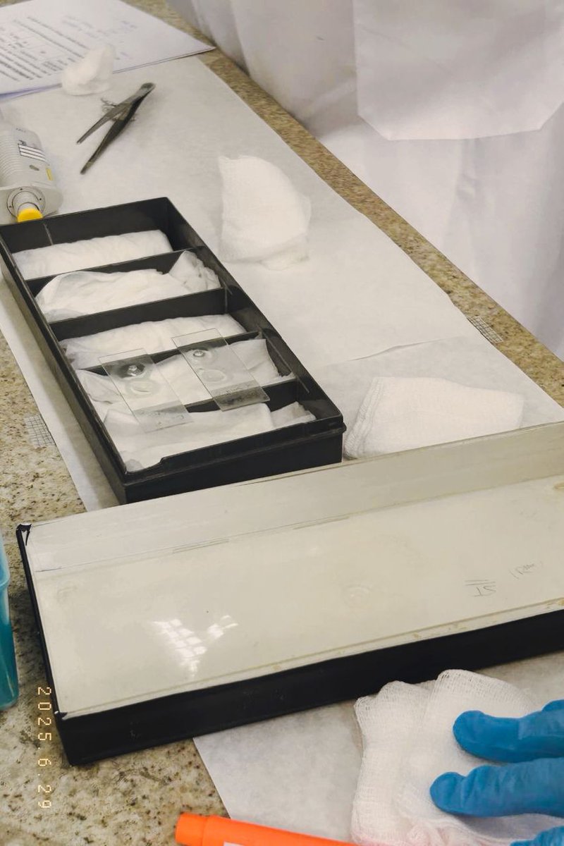 muni '' ☆ VAI VER O BTS tweet media