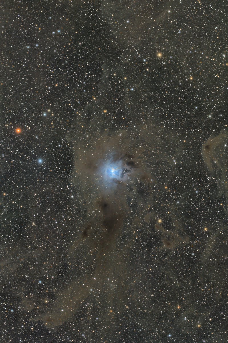 アイリス星雲（NGC7023）
撮影から少し時間が空いてしまいました。
FF130APO（RD）＋ASI2400MCP、AM５赤道儀、300秒×55（計4時間35分）　4月29日他１夜　静岡市葵区井川付近