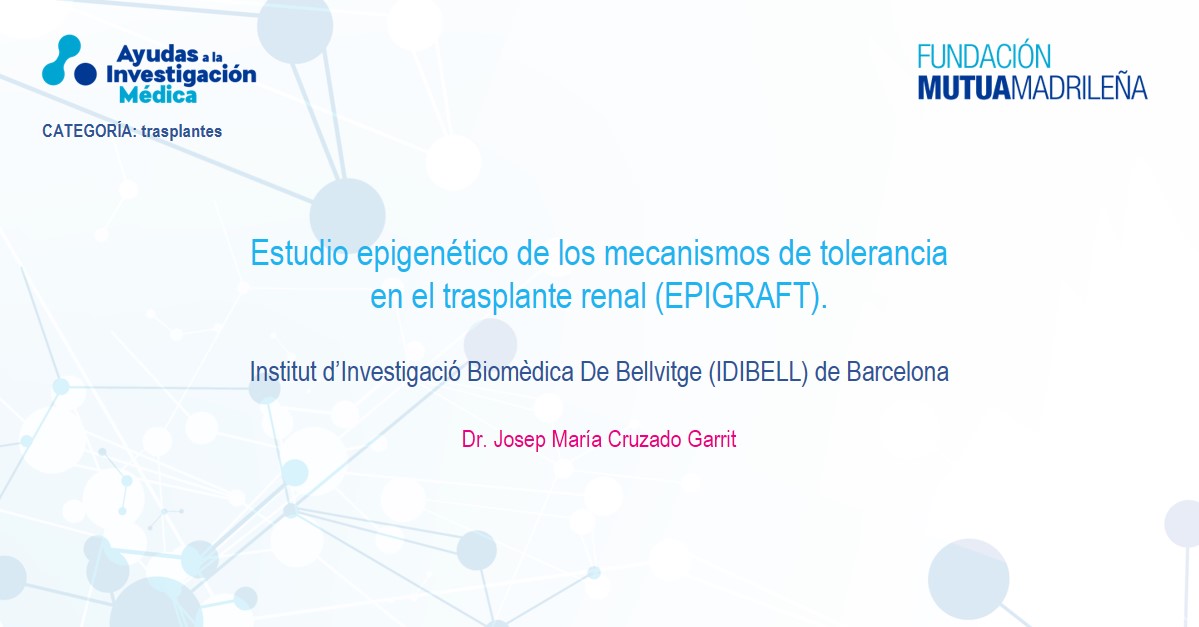Con una de nuestras #AyudasFundaciónMutua y en el campo del trasplante renal, el equipo del doctor Josep Maria Cruzado tratará de identificar nuevos mecanismos para disminuir la respuesta del sistema inmunológico hacia el nuevo órgano. Se realizará en <a href="/idibell_cat/">IDIBELL</a> (Barcelona).