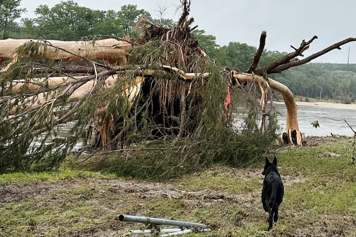 Unitedcajunnavy's tweet photo. Our 4-legged warriors are doing the Lord's work out here in Texas. They have already brought much needed closure to 11 families so far. 🐕🐕🐕🫡💪 #JacksonCountyK9 https://t.co/Ul1qwQaaVw