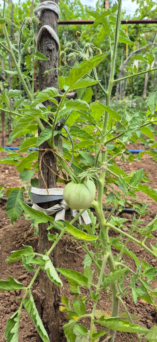 Ќе има по нешто за проба😁😁