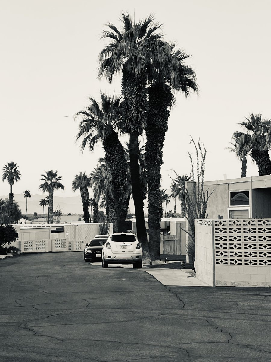 ....That Summer 

📸Palm Desert