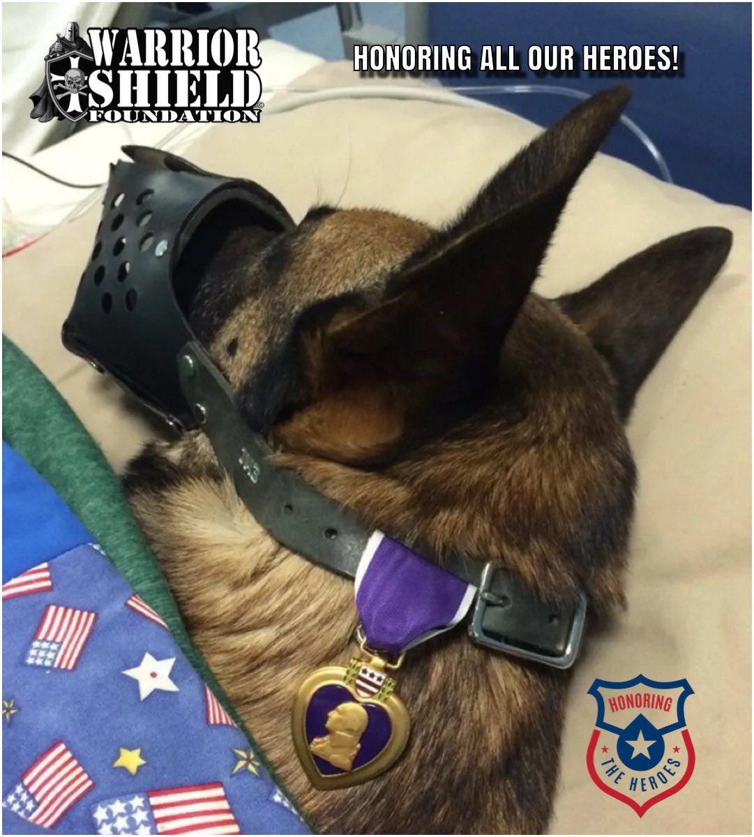 Warrior Shield Foundation (@warriorshield25) on Twitter photo 