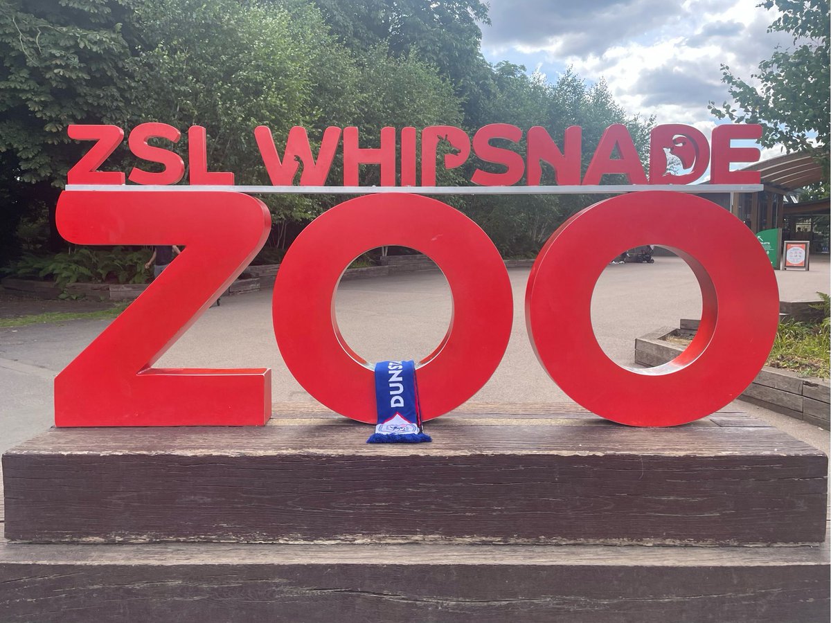 🧣Thw scarf took a trip to Whipsnade Zoo on its travels around Dunstable and the local surrounding areas.

A hugely popular place for all the family. 

#towntogether #youareenough #scarfontour