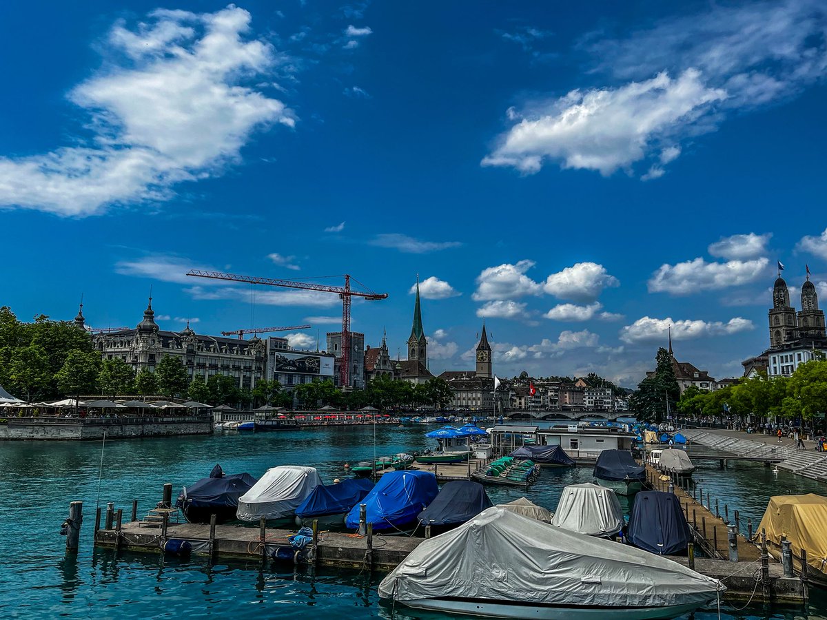 Frankie 💎 tweet media