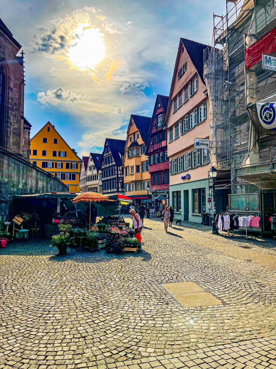 Frankie 💎 tweet media