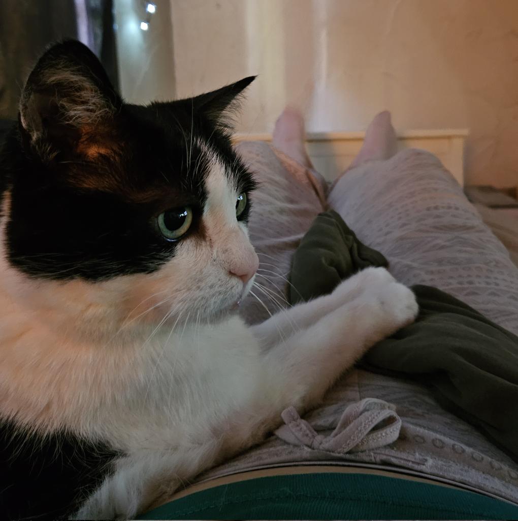 zegmaarCathy 🇧🇪 tweet media