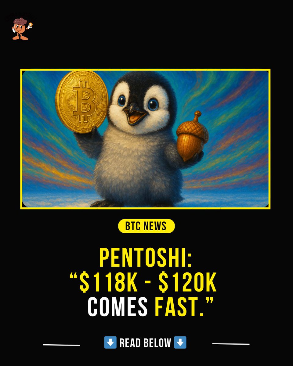 Crypto Nutshell tweet media